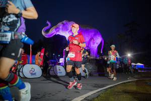 BIB: 
                            <button type="button" onclick="openModal(26551765)" class="btn btn-primary btn-sm float-right btn-popup" data-toggle="modal" data-target=".modal-high-quality">
                        <i class="fas fa-shopping-cart"></i> Add to Cart
                    </button>
                                            <button type="button" onclick="isThisMe(26551765, true)" class="btn btn-success btn-sm float-right btn-popup btn-isme hidden" data-toggle="tooltip" data-placement="bottom" title="นี่คือรูปของคุณใช่ไหม คลิกที่นี่เพื่อเอาเข้าอัลบั้ม">
                        <i class="fas fa-plus"></i> Add to album
                    </button>
                    <button type="button" onclick="isThisMe(26551765, false)" class="btn btn-warning btn-sm float-right btn-popup btn-isnotme hidden">
                        <i class="fas fa-ban"></i> Remove from album
                    </button>